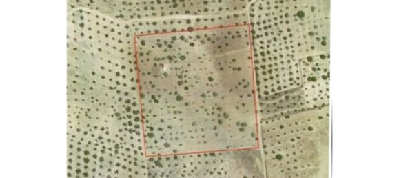 Terreno de 4 dormitorios en Serpa, Portugal No. 190195 26