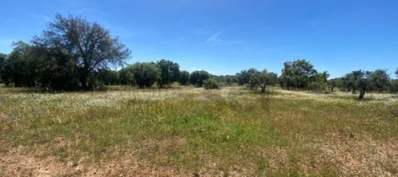 Terreno de 4 dormitorios en Serpa, Portugal No. 190195 9