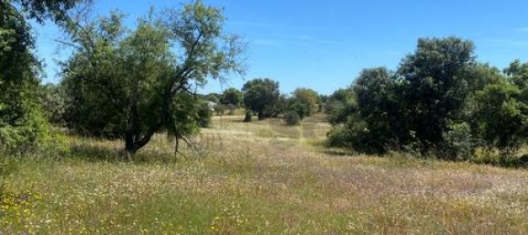 Terreno de 4 dormitorios en Serpa, Portugal No. 190195 18