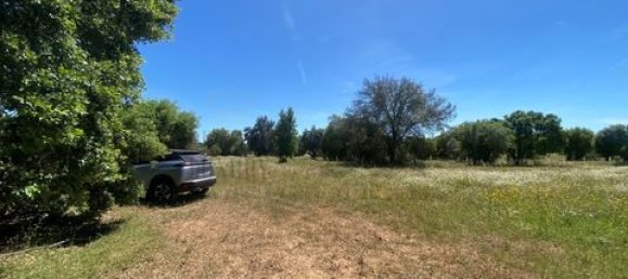 Terreno de 4 dormitorios en Serpa, Portugal No. 190195 13