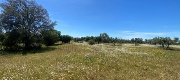 Terreno de 4 dormitorios en Serpa, Portugal No. 190195 8