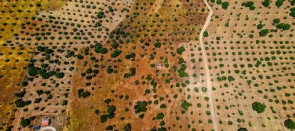 Terreno de 4 dormitorios en Serpa, Portugal No. 190195 2