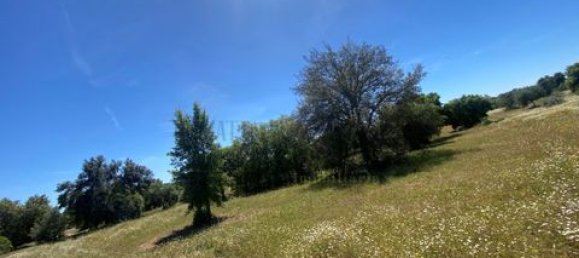 Terreno de 4 dormitorios en Serpa, Portugal No. 190195 10