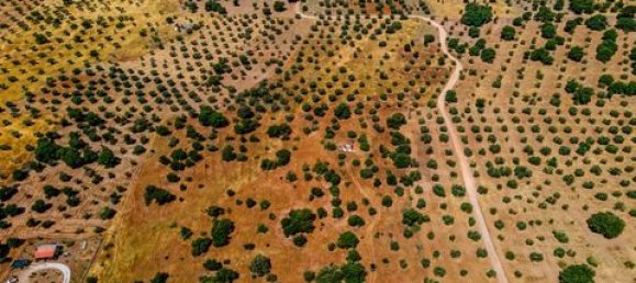 Terreno de 4 dormitorios en Serpa, Portugal No. 190195 3