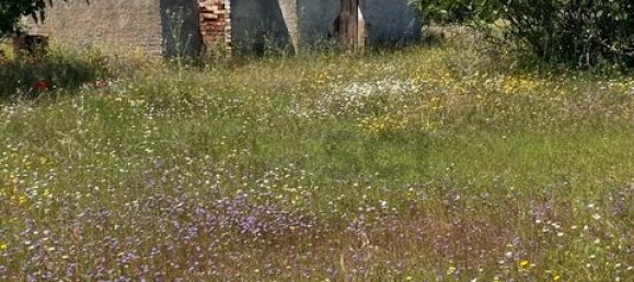 Terreno de 4 dormitorios en Serpa, Portugal No. 190195 6