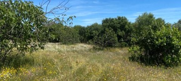 Terreno de 4 dormitorios en Serpa, Portugal No. 190195 24