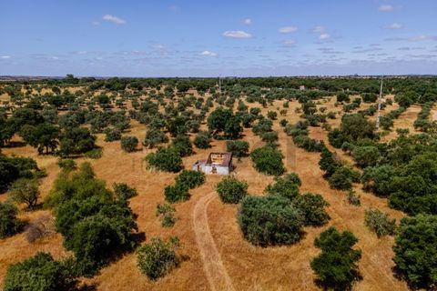 Terreno de 4 dormitorios en Serpa, Portugal No. 190195