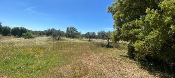 Terreno de 4 dormitorios en Serpa, Portugal No. 190195 7