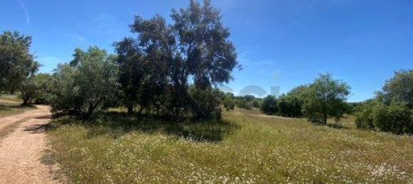 Terreno de 4 dormitorios en Serpa, Portugal No. 190195 11