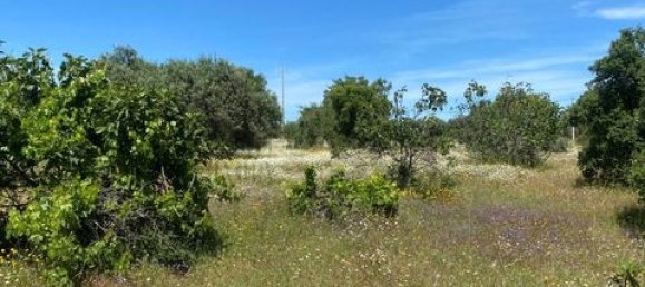 Terreno de 4 dormitorios en Serpa, Portugal No. 190195 16