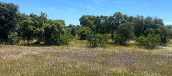 Terreno de 4 dormitorios en Serpa, Portugal No. 190195 19