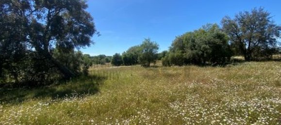 Terreno de 4 dormitorios en Serpa, Portugal No. 190195 12