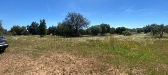 Terreno de 4 dormitorios en Serpa, Portugal No. 190195 14