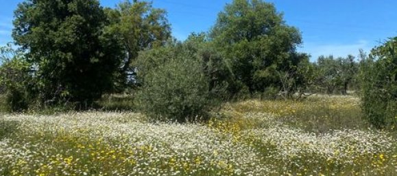 Terreno de 4 dormitorios en Serpa, Portugal No. 190195 23