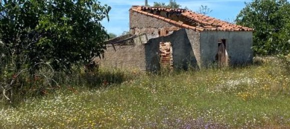 Terreno de 4 dormitorios en Serpa, Portugal No. 190195 4