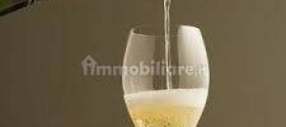 4 rooms Commercial property in Busseto, Italy No. 258551 28