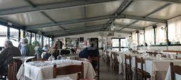 4 rooms Commercial property in Busseto, Italy No. 258551 6