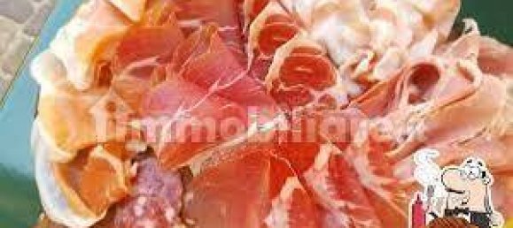 4 rooms Commercial property in Busseto, Italy No. 258551 23