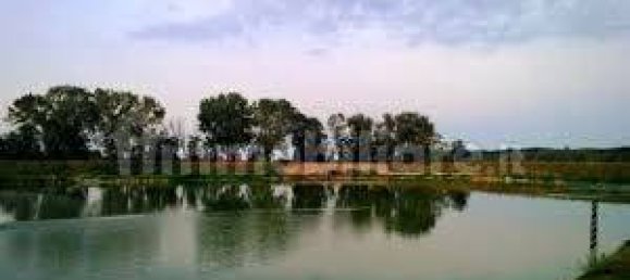 4 rooms Commercial property in Busseto, Italy No. 258551 10