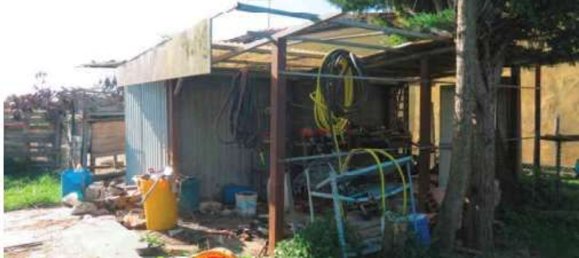 8 rooms Apartment in Melara, Italy No. 52424 13