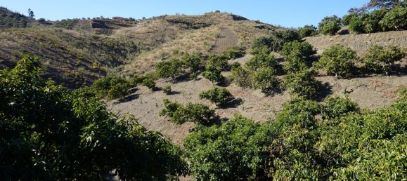 3 bedrooms House in Vinuela, Spain No. 128508 11