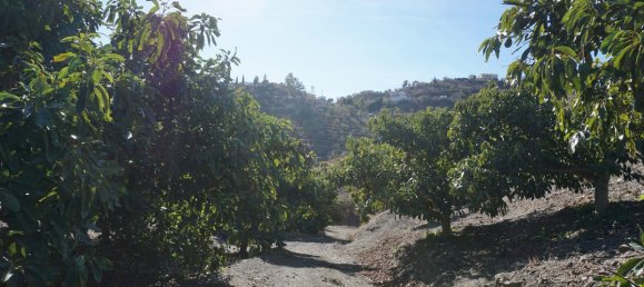 3 bedrooms House in Vinuela, Spain No. 128508 13