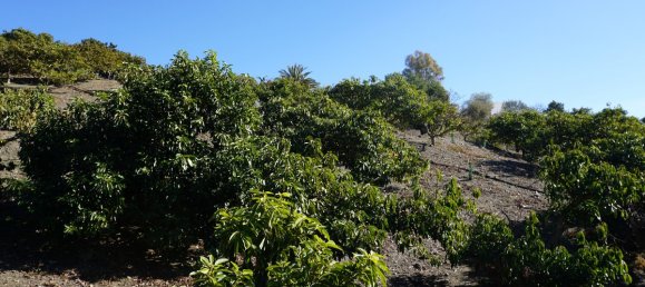 3 bedrooms House in Vinuela, Spain No. 128508 10