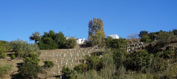 3 bedrooms House in Vinuela, Spain No. 128508 6