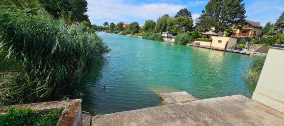 Дом с 6 комнатами в Прелленкирхен, Австрия № 251282 5