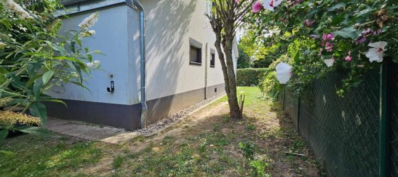 Дом с 6 комнатами в Прелленкирхен, Австрия № 251282 8