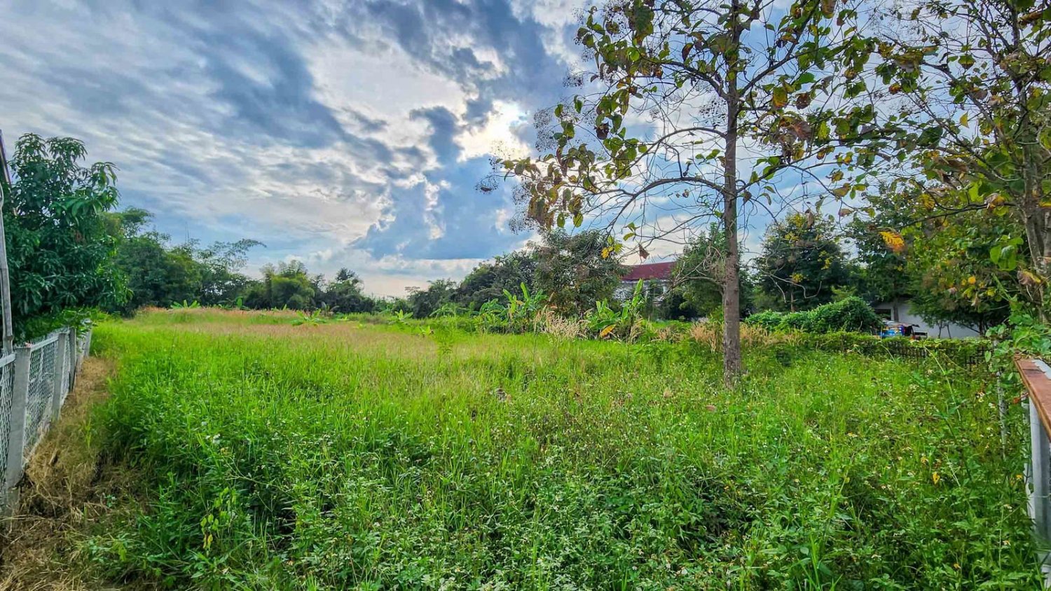  Land in Chiang Mai, Thailand No. 59600