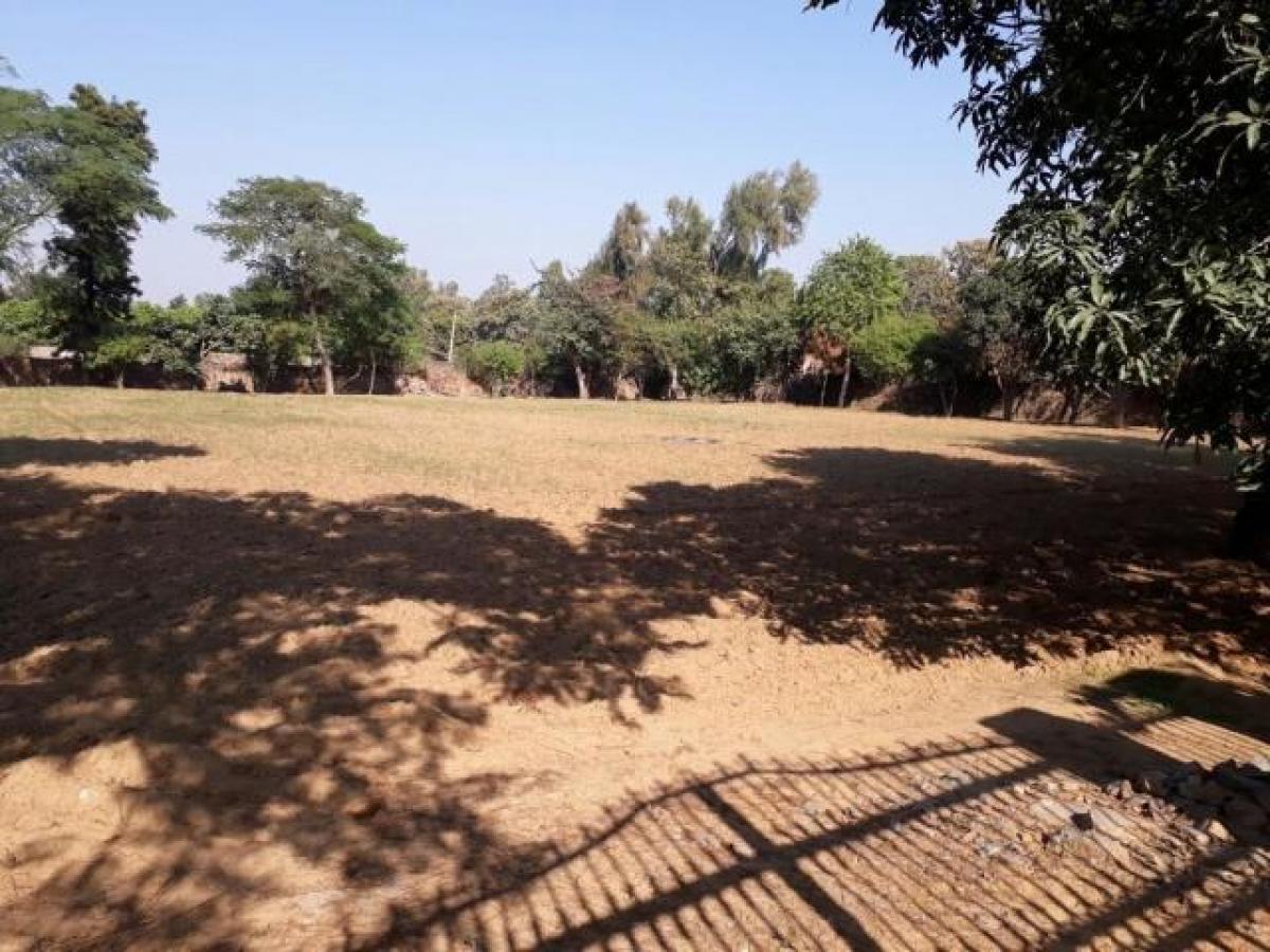 Terreno en Gurgaon, India No. 33644