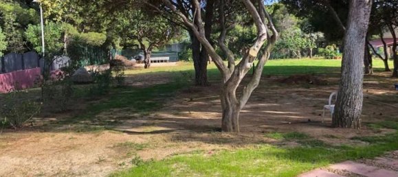 Villa T12 em Quartu Sant'Elena, Italy N.º 41276 50