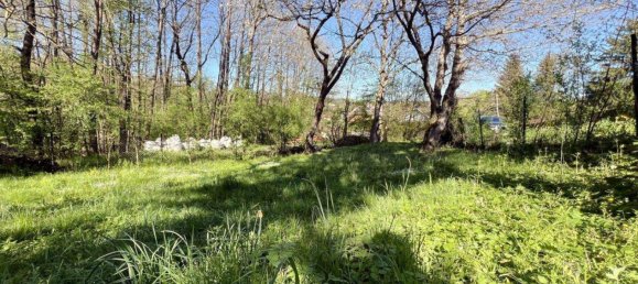  Land in Tullnerbach, Austria No. 166593 4