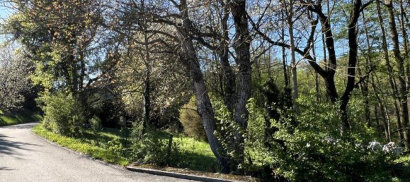  Land in Tullnerbach, Austria No. 166593 13