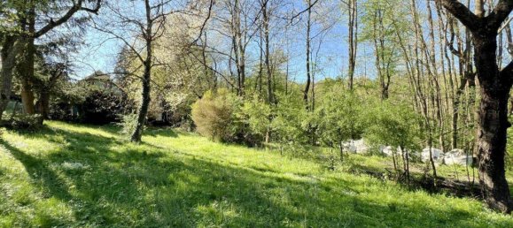  Land in Tullnerbach, Austria No. 166593 2