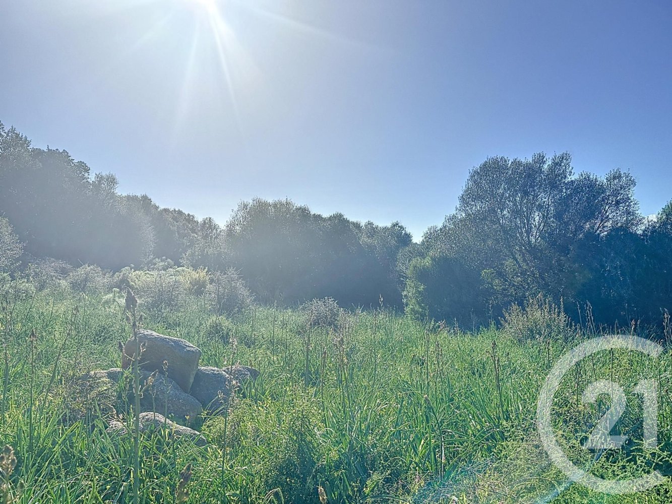 Grundstück in Porto-Vecchio, France, Nr. 77455