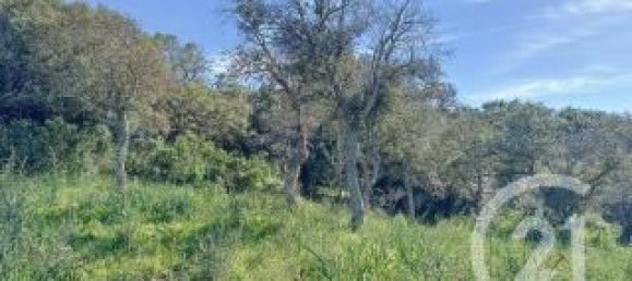 Grundstück in Porto-Vecchio, France, Nr. 77455 2