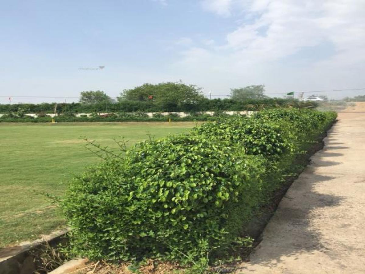 Terreno em Noida, India N.º 65504