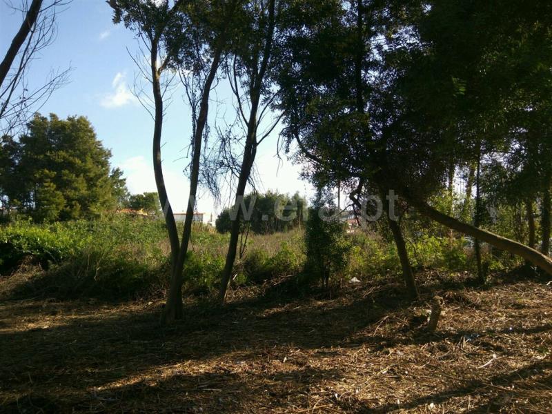 Grundstück in Arcozelo, Portugal 4310m², Nr. 244887