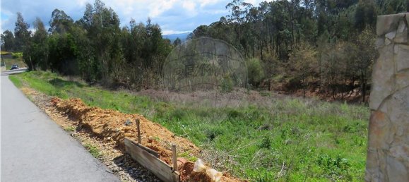 Grundstück in Valongo do Vouga, Portugal 6629m², Nr. 73857 3