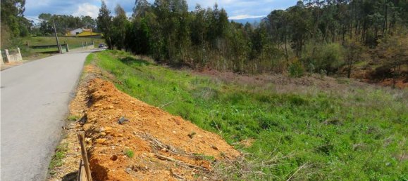 Grundstück in Valongo do Vouga, Portugal 6629m², Nr. 73857 2