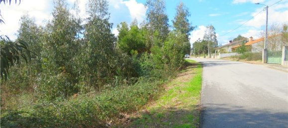 Grundstück in Valongo do Vouga, Portugal 6629m², Nr. 73857 6