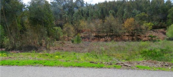 Grundstück in Valongo do Vouga, Portugal 6629m², Nr. 73857 5