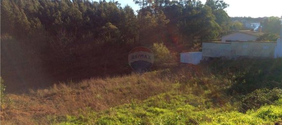 Grundstück in Valongo do Vouga, Portugal 6629m², Nr. 73857 10