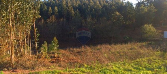 Grundstück in Valongo do Vouga, Portugal 6629m², Nr. 73857 9