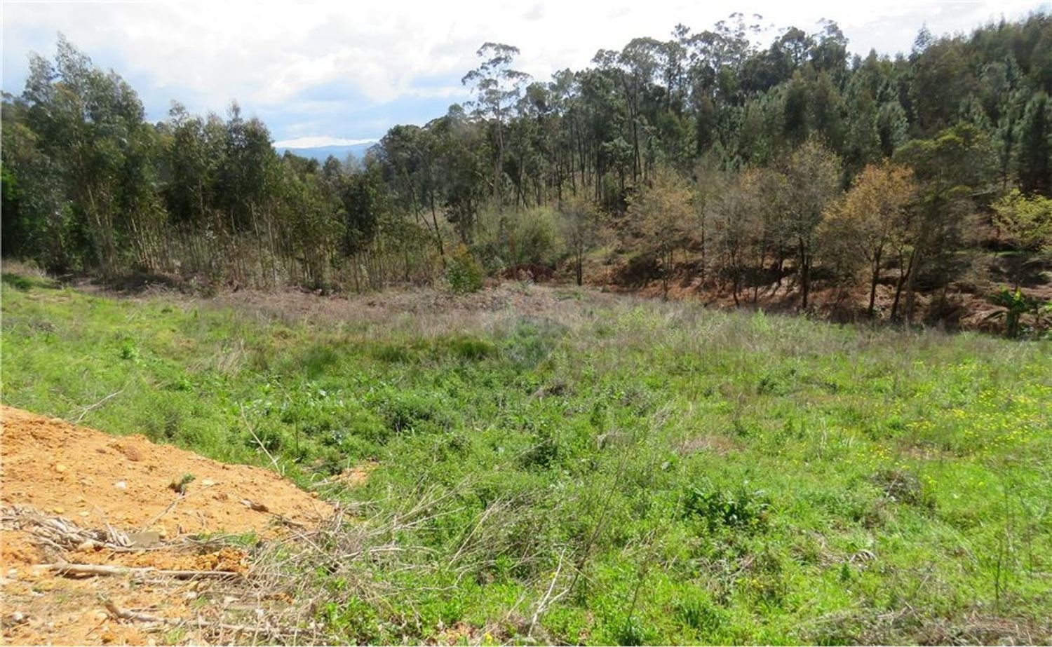 Grundstück in Valongo do Vouga, Portugal 6629m², Nr. 73857