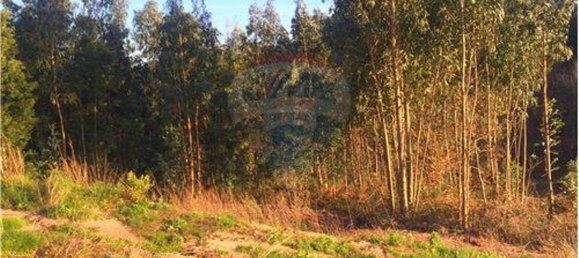 Grundstück in Valongo do Vouga, Portugal 6629m², Nr. 73857 8