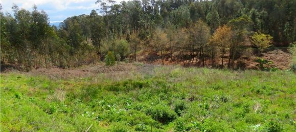 Grundstück in Valongo do Vouga, Portugal 6629m², Nr. 73857 4