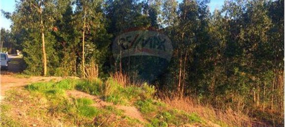 Grundstück in Valongo do Vouga, Portugal 6629m², Nr. 73857 7